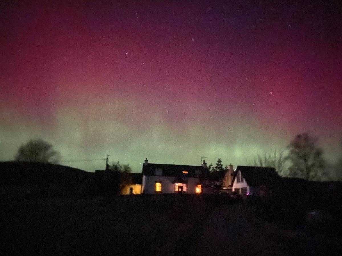 Newton Bothy *
